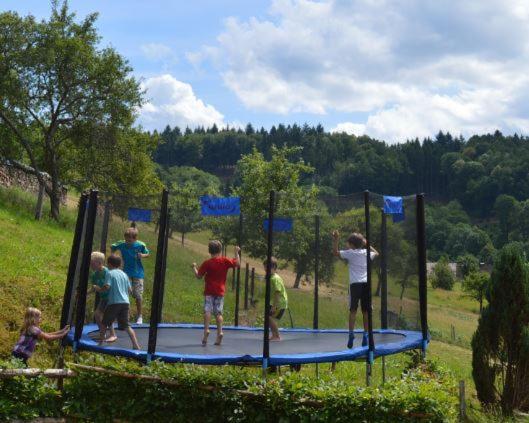 Ferienwohnung im Herzen des Renchtals Oppenau Exterior foto